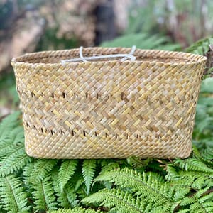 Kete whakairo - Ātea