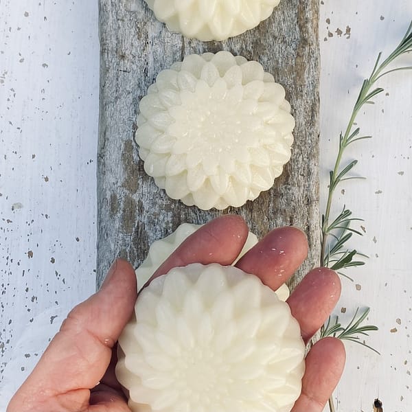 nourish hair conditioner bar