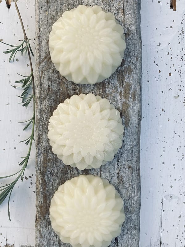 nourish hair conditioner bar