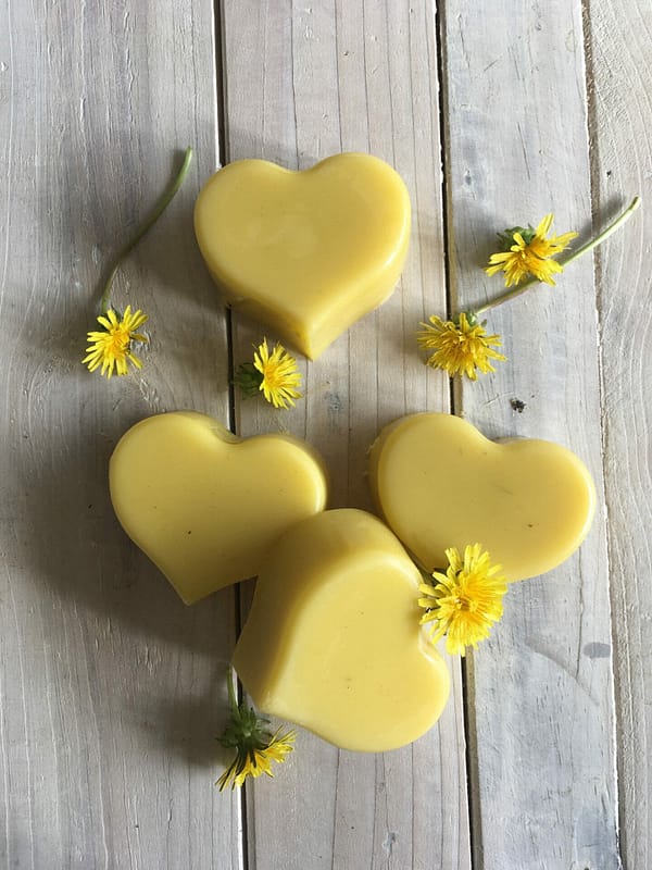 Dandelion & shea butter - moisturiser bar - Image 2