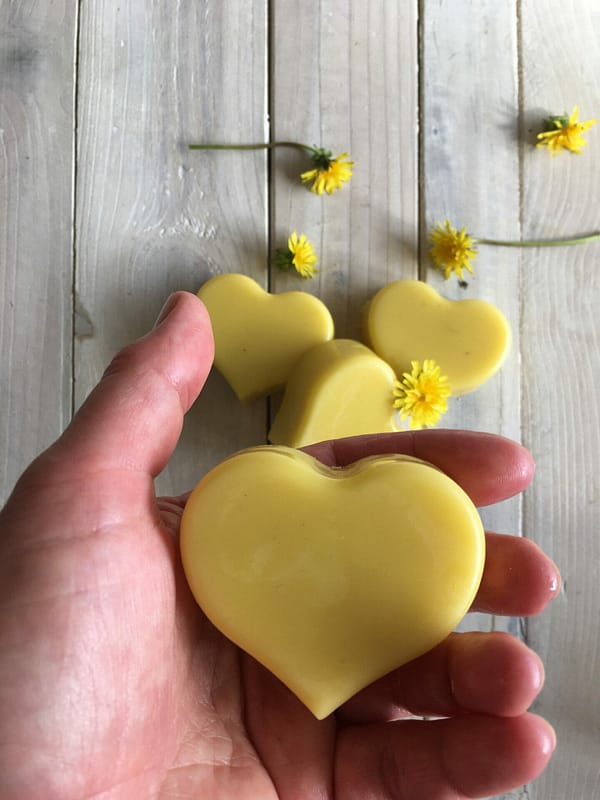 Dandelion & shea butter - moisturiser bar